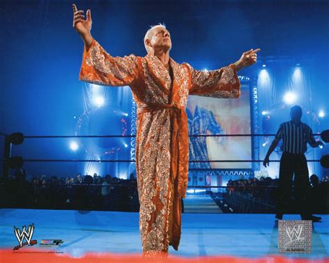 Ric Flair Wwe Photofile 8x10 Photo