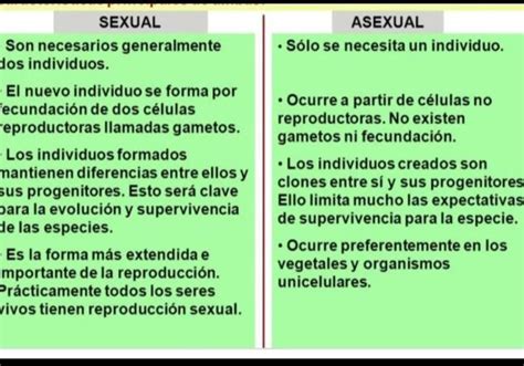 Elaborar Un Cuadro Comparativo De Las Diferencias Entre Reproduccion Sexual Y Reproduccion