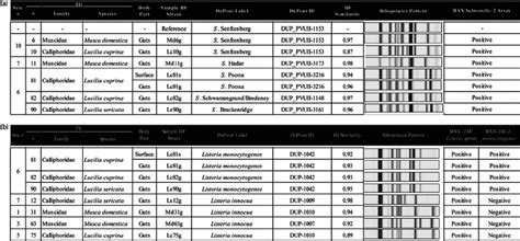 Ribotype patterns of Salmonella (a) and Listeria (b) strains isolated ... 