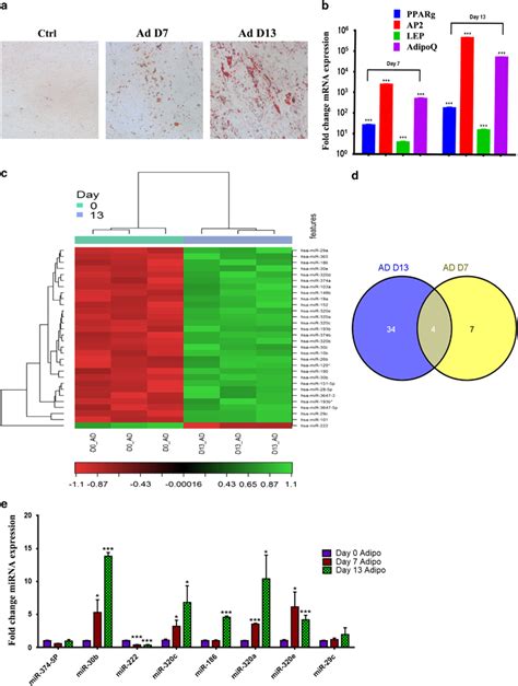 Rna Expression Profiling During Adipocyte Ad Differentiation Of Hmsc