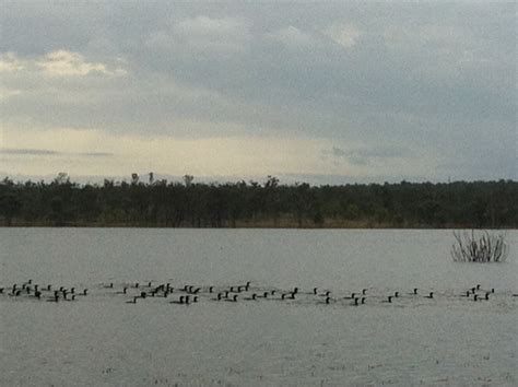 Wassa And Min Go Wandering Bundoora Dam 27th October