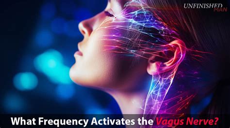 What Frequency Activates The Vagus Nerve Exploring Optimal Stimulation