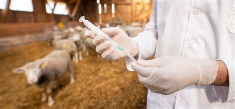 Animal Health Supply Chain Tower Cold Chain