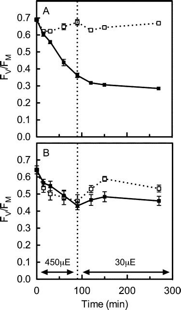 Responses Of Psii Maximum Photochemical Yield Fv Fm Versus Time A