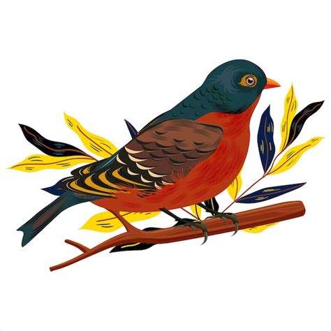 Premium Vector Beautiful Bird Colorful Vector