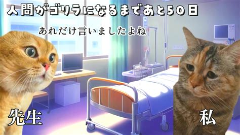 猫ミームで稼ぐ！集客に困っている人、初心者にとって初報酬の大いなるチャンスかと思います｜0から始めるマネタイズ〜3億以上の売上をあげた男から楽しく学ぶオンラインビジネス〜