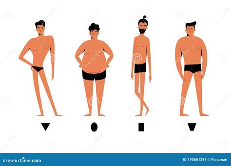 Male Body Shapes Set Inverted Triangle Oval Rectangle Rhomboid Figure Types Human Anatomy