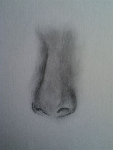 Example of a realistic nose drawing,for more professional artists Nose ...