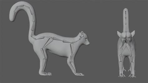 Lemur 3d Model Rigged And Low Poly 3d Model Team 3d Yard