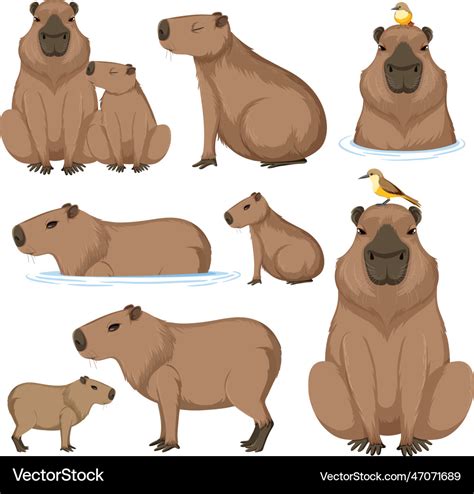 Cute Cartoon Capybara Collection Royalty Free Vector Image