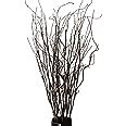 FeiLix 10PCS Lifelike Curly Willow Branches Decorative Dried Artificial