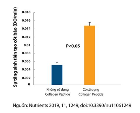 Collagen Peptide là gì Công dụng với cơ thể và xương khớp ra sao