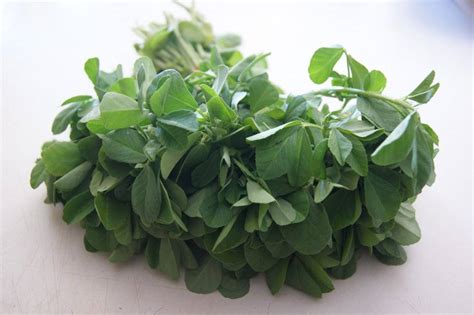 Fenugreek Leaves Shelf Life At Susan Moody Blog