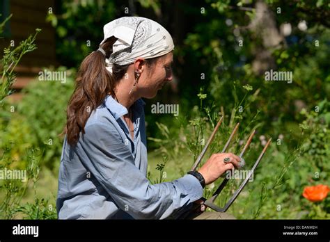 Steel wool rust hi-res stock photography and images - Alamy