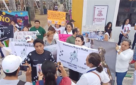 Protestan en Mérida exigiendo justicia para Rufo un lomito que fue