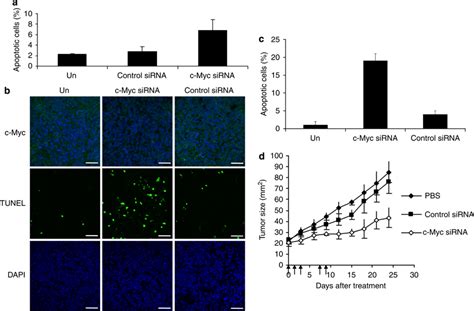 Apoptosis Induction And Tumor Growth Inhibition Of Human Melanoma By