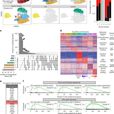 Scrna Seq Analysis Of Ligand Selective Activation Of Microglia A Umap Download Scientific