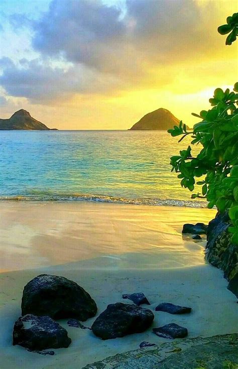 Discover the Unexpected Beauty of Anonib Hawaii (Before Everyone Else Does!) - zngon3m