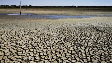 El 80 Del Campo Español Ya Está Asfixiado Por La Sequía