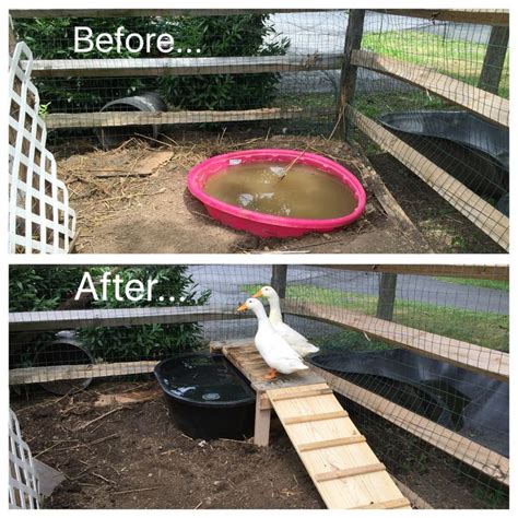 Diy Duck Pond With Ramp And Platform Made From Pallets All For Under