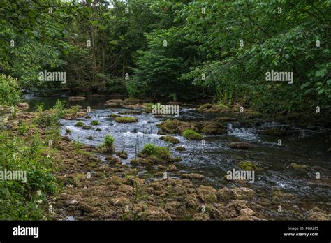 The Peaceful Valley Of Monsal Dale In The English Peak District