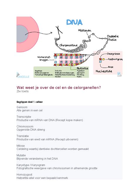 Deel Extra Samenvatting Wat Weet Je Over De Cel En De