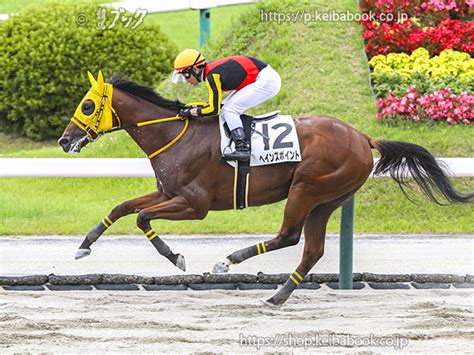 競馬ブックネットshop カラープリントアルミ枠付き2024年7月7日福島2r 3歳未勝利ヘインズポイント