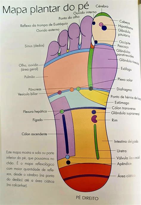 Mapa plantar do Pé Reflexologia