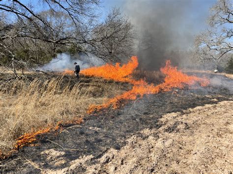 Prescribed Burns Whf