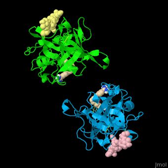 Plasminogen activator - Proteopedia, life in 3D