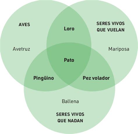 Ejemplo De Diagrama De Venn Fuente Adaptada De Montagud