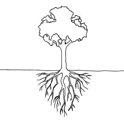 Tree Roots Drawing at PaintingValley.com | Explore collection of Tree ...
