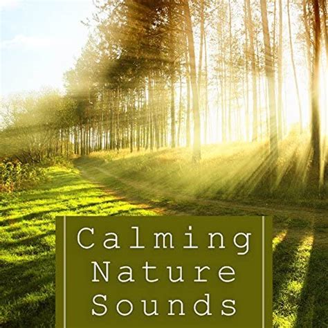 Amazon.com: Calming Nature Sounds – Relaxing Waves, Soothing Sounds ...