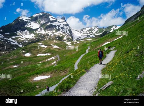 Alps swiss bernese oberland hi-res stock photography and images - Alamy