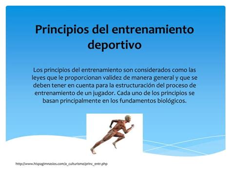 Principios De Entrenamiento Ppt