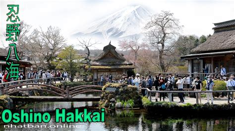 Oshino Hakkai Top Things To Do Around Fuji Japan Walk Video