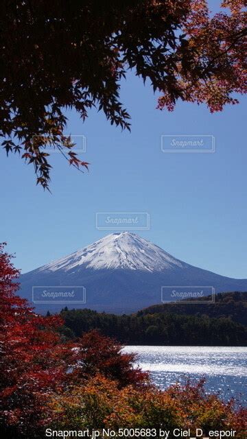 秋晴れの河口湖畔の赤く染まった木々と綺麗に雪を纏った雄大な富士山の写真・画像素材 5005683 Snapmart（スナップマート）