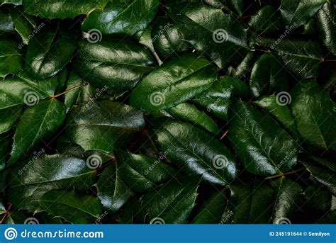 Pattern Of Green Leaves With Glitter For Background And Design Stock