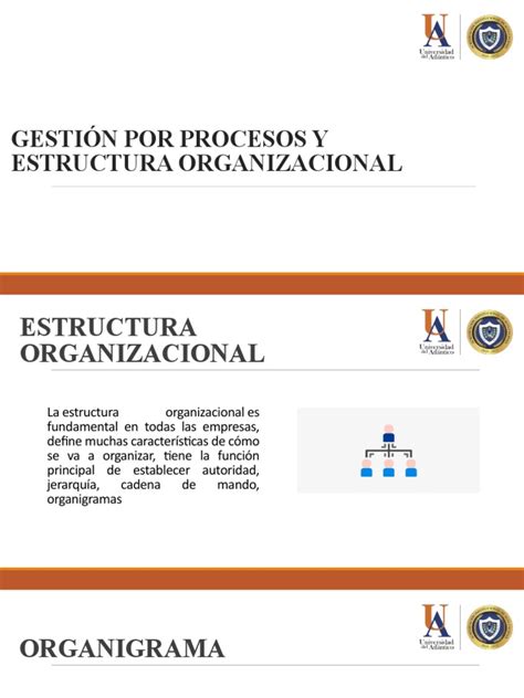 Gestión Por Proceso Y Estructura Organizacional Tema 2 Pdf Business