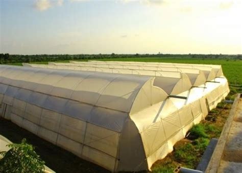 Prefab Rectangular Base 22mm Natural Ventilated Greenhouse For