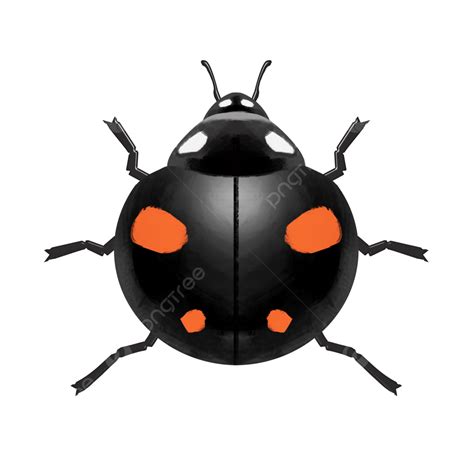 Mariquita Negra Png Negro Ladybug Insect Png Y Psd Para Descargar Gratis Pngtree