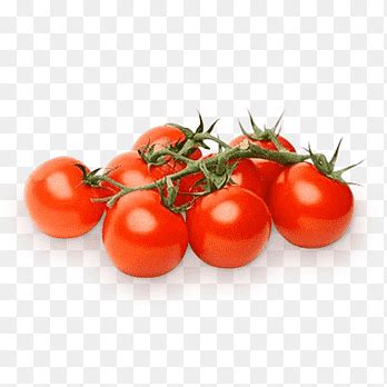 черри png images | PNGEgg