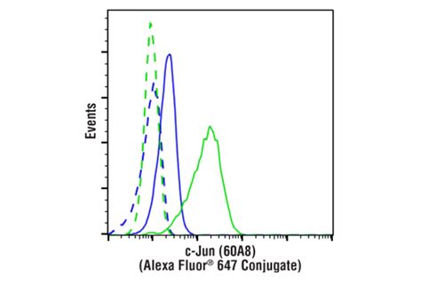 C Jun 60A8 Rabbit MAb Alexa Fluor 647 Conjugate Cell Signaling