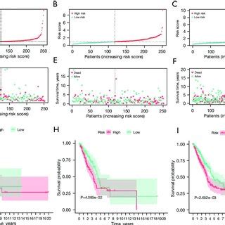 Construction Of A Prognostic Risk Model Based On The Test Train And