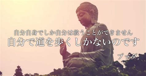 ブッダの名言 Emoquotes 心に響く名言集