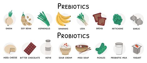 The Facts On Prebiotics And Benefits Of Probiotic Supplements