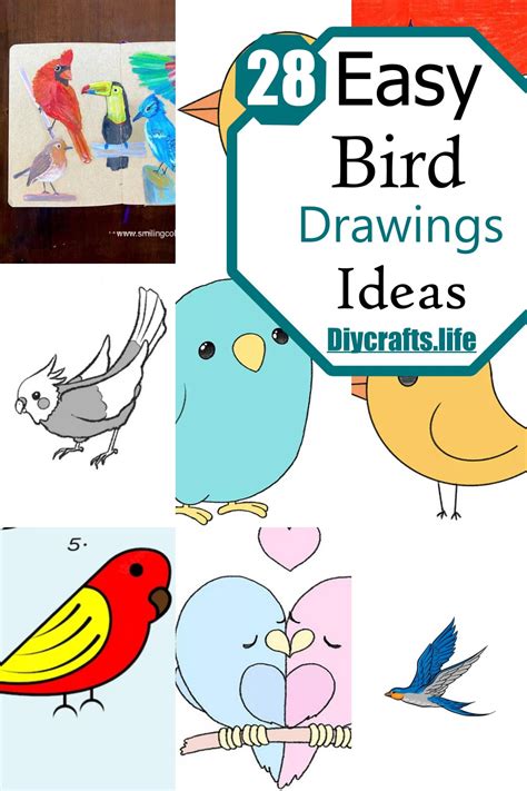 How To Draw A Bird For Beginners