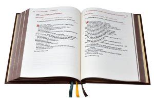 Sacco Company Lectionary WEEKDAY LECTIONARY RITUAL MASSES Vol IV