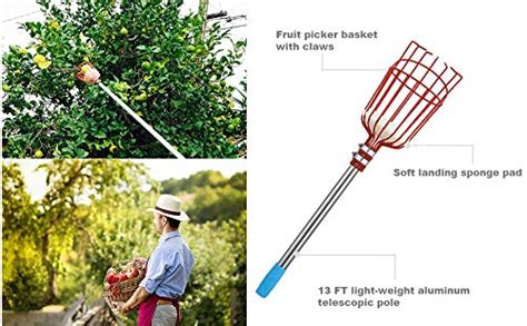 Harrms Fruit Picker Pole Tool 8 Ft Fruit Picker With Lightweight