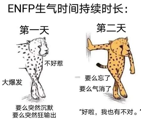 五点，了解mbti Enfp人格的恋爱观！ 知乎